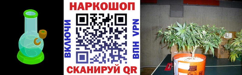 Цена Аркадак Псилоцибиновые грибы СК Амфетамин МЕФ Конопля